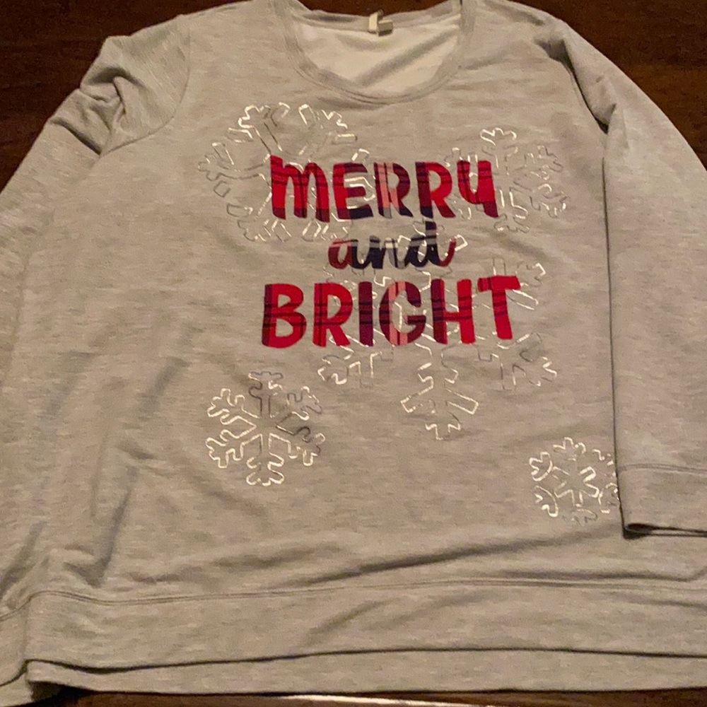 Gray Cato lightweight sweatshirt 26/26 worn little